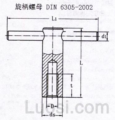 din 6305-2002 带固定卡式螺栓的带径向孔的螺母