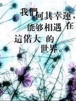 有一种爱叫做“我不会放手”