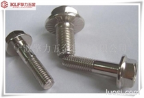 Flange Bolt DIN6921 (SS304)法兰面螺栓螺丝钉