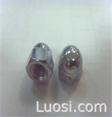 hex cap nut 