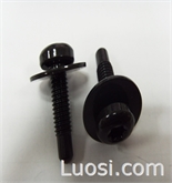 Machine Screw with Flat Washer