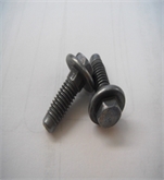 Flange Screw w/o serr. (Frame Bolt)