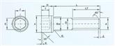 内六角圆柱头螺钉
