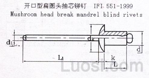 IFI 551-1999 开口型扁圆头抽芯铆钉