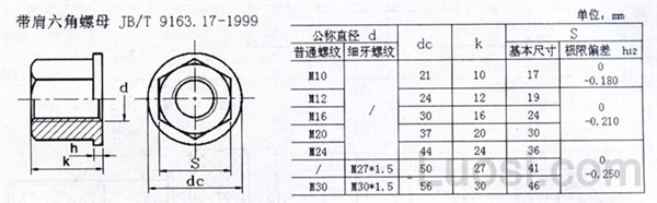 JB /T 9163.17-1999 六角带介螺母